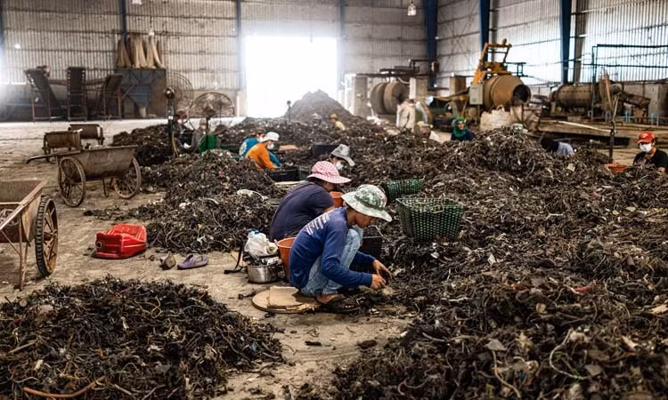 泰国禁止进口超过400种电子废物 ảnh 1 泰国禁止进口超过400种电子废物 ảnh 1