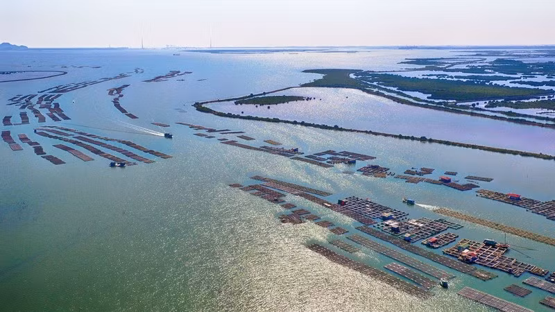 广宁省建立广安沿海经济区 ảnh 1 广宁省建立广安沿海经济区 ảnh 1