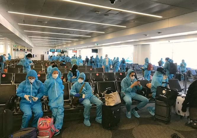 新冠肺炎疫情:将在日本的220名越南公民接回国 ảnh 1 新冠肺炎疫情:将在日本的220名越南公民接回国 ảnh 1