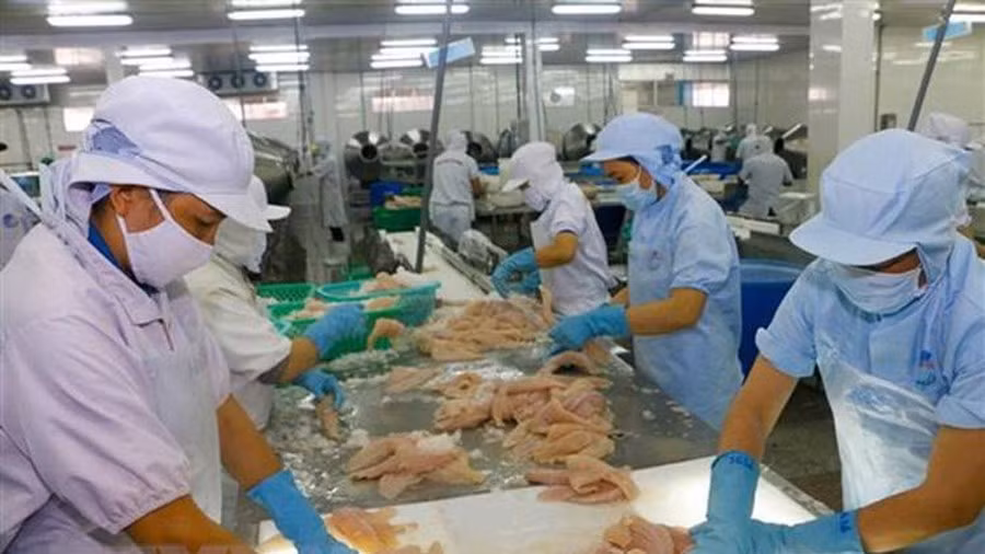 波兰市场为越南水产品敞开大门 ảnh 1 波兰市场为越南水产品敞开大门 ảnh 1