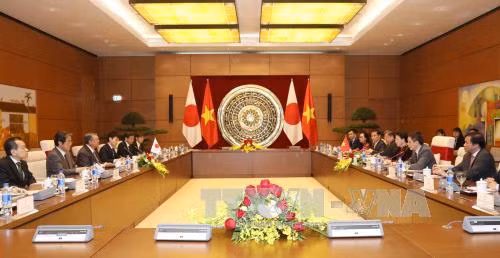 国会主席阮氏金银与日本国会众议院议长大岛理森举行会谈 ảnh 2 国会主席阮氏金银与日本国会众议院议长大岛理森举行会谈 ảnh 2