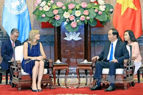越南国家主席陈大光会见荷兰王后马克西玛 ảnh 1 越南国家主席陈大光会见荷兰王后马克西玛 ảnh 1