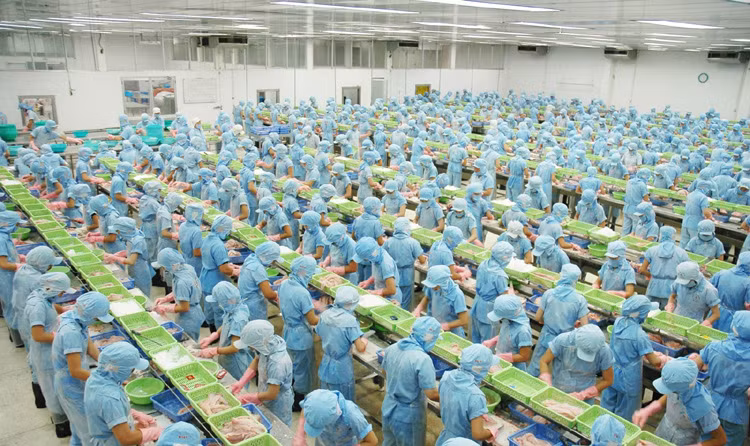今年前4月越南水产品出口额达21亿美元 ảnh 1 今年前4月越南水产品出口额达21亿美元 ảnh 1