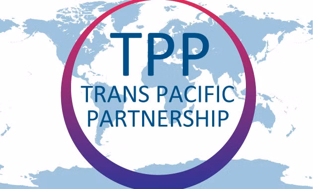 日本新西兰高官举行会谈 力促TPP 11月达成协议 ảnh 1 日本新西兰高官举行会谈 力促TPP 11月达成协议 ảnh 1