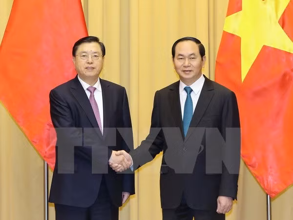 陈大光主席：越中合作潜力仍巨大 ảnh 1