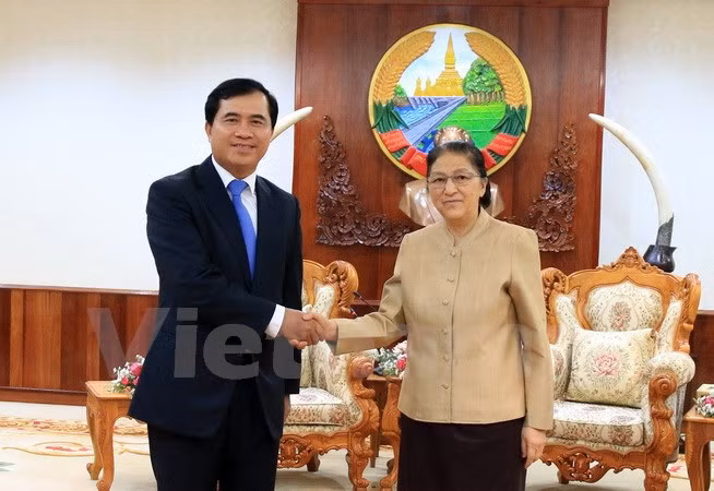 越南加快推进老挝国会大厦工程项目的建设 ảnh 1 越南加快推进老挝国会大厦工程项目的建设 ảnh 1