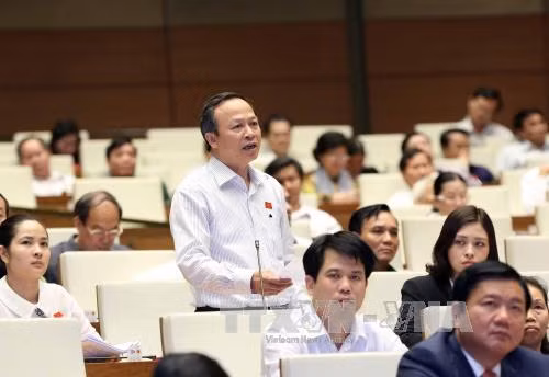 越南第十三届国会第十次会议：各位部长就许多热点问题回答国会代表质询 ảnh 1