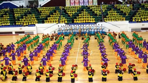 2015年东南亚学生体育运动会:越南代表队在奖牌榜上居第4位 ảnh 1 2015年东南亚学生体育运动会:越南代表队在奖牌榜上居第4位 ảnh 1
