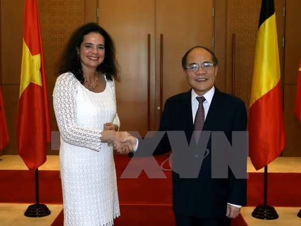 比利时参议院议长克里斯蒂娜•德弗莱涅圆满结束对越南的政治访问 ảnh 1