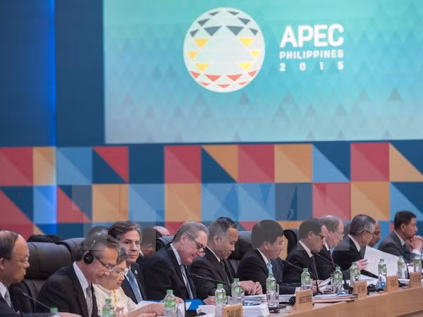 第27届亚太地区经合组织外交与经贸双部长会议圆满结束 ảnh 1