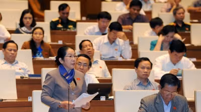 越南第十三届国会第十次会议发表第十七号公报 ảnh 1