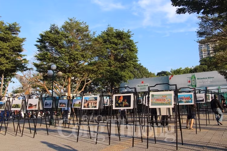 岘港市文化遗产空间图片展展示城市魅力 ảnh 1