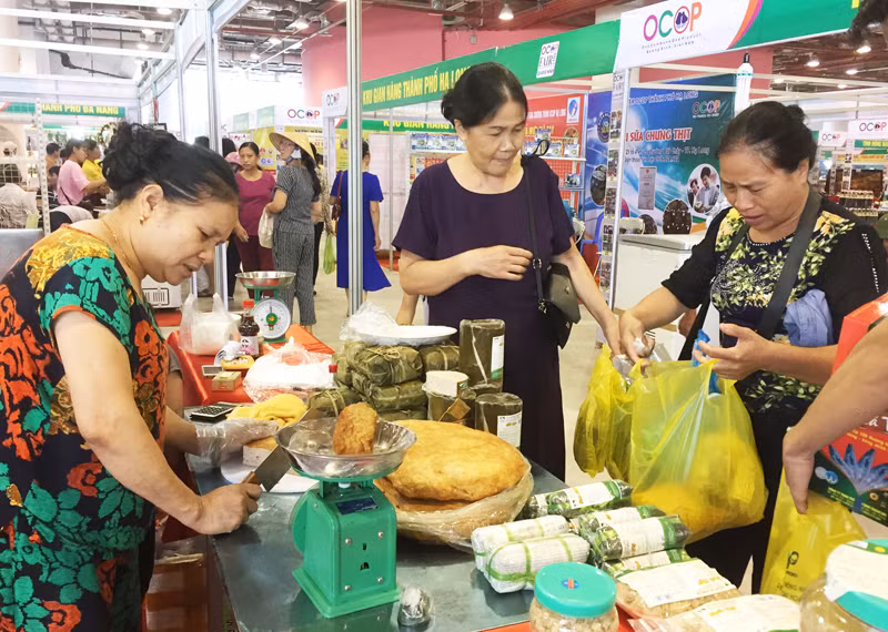 国际“一乡一品”产业博览会即将在胡志明市举行 ảnh 1 国际“一乡一品”产业博览会即将在胡志明市举行 ảnh 1