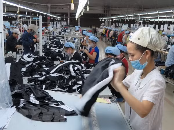同奈省纺织品服装和鞋类出口额在出口总额占较大比重 ảnh 1