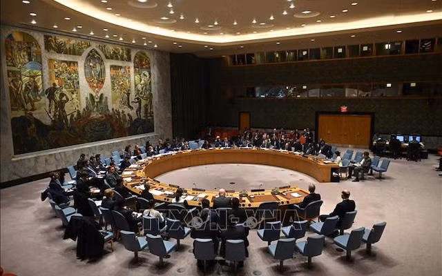 越南与联合国安理会:越南呼吁保护发生武装冲突各国的人民 ảnh 1 越南与联合国安理会:越南呼吁保护发生武装冲突各国的人民 ảnh 1