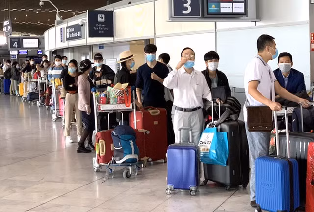 将在欧洲、非洲、南美和以色列等国家和地区滞留的越南公民接回国 ảnh 1 将在欧洲、非洲、南美和以色列等国家和地区滞留的越南公民接回国 ảnh 1