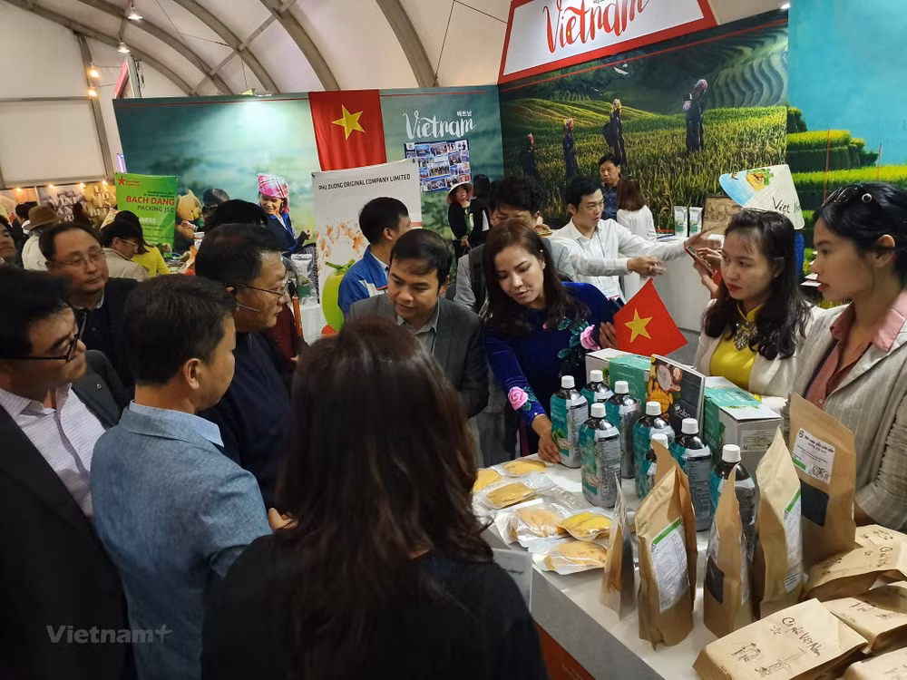 越南企业参加阿尔及利亚在线国际贸易博览会 ảnh 1