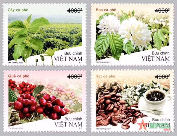 越南使用香味印刷技术的咖啡树宣传邮票亮相 ảnh 1