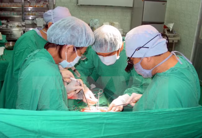 越南成功实施首例脑死亡器官捐献心脏移植手术 ảnh 1 越南成功实施首例脑死亡器官捐献心脏移植手术 ảnh 1