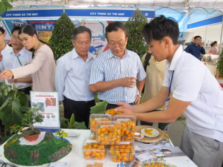 第五届胡志明市农业种子展销会为各企业等创造交流平台 ảnh 2