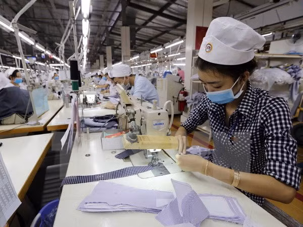 今年前5个月全国新成立企业同比增长12.9% ảnh 1 今年前5个月全国新成立企业同比增长12.9% ảnh 1