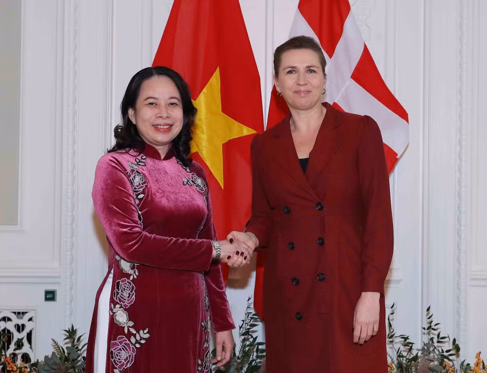 国家副主席武氏映春对丹麦和挪威的访问之旅取得圆满成功 ảnh 1