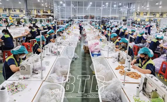 太平省努力实现经济增长目标 ảnh 1