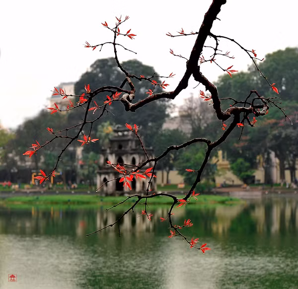 “还剑湖色彩”摄影图片展在河内举行 ảnh 4 “还剑湖色彩”摄影图片展在河内举行 ảnh 4