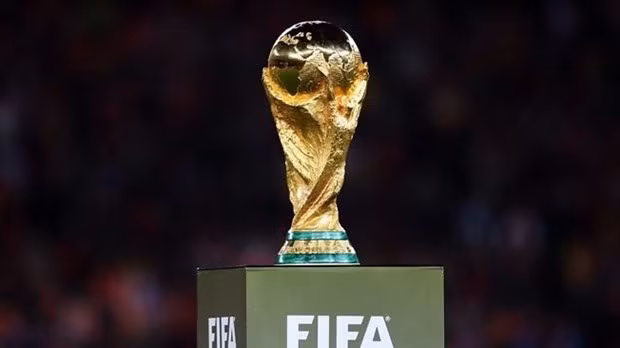 东盟10国将联合申办2034年世界杯 ảnh 1
