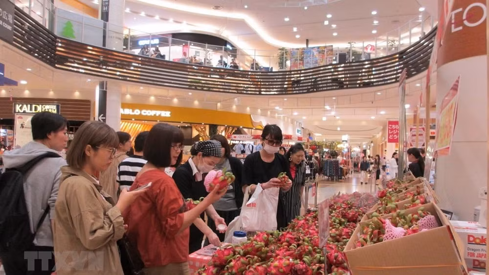 越南产品颇受日本消费者的欢迎 ảnh 1