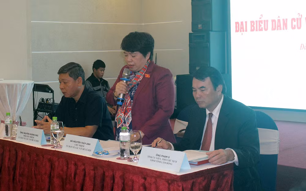 “民选代表与移民法律政策”研讨会在林同省开幕 ảnh 1 “民选代表与移民法律政策”研讨会在林同省开幕 ảnh 1