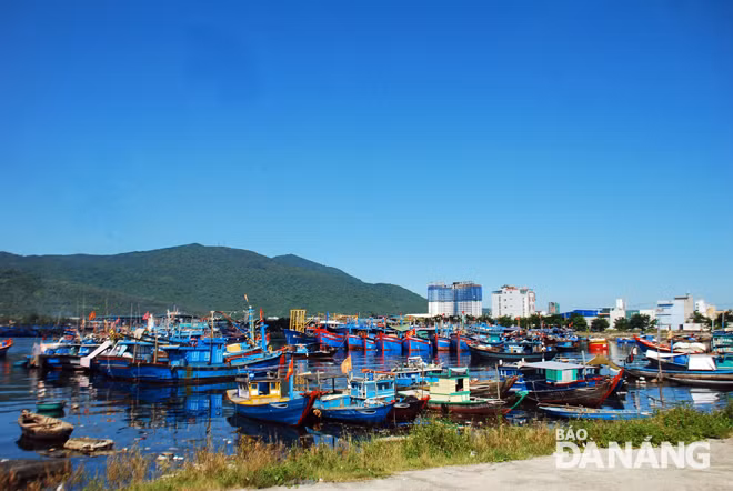 岘港市着力促进海洋经济发展 ảnh 1 岘港市着力促进海洋经济发展 ảnh 1