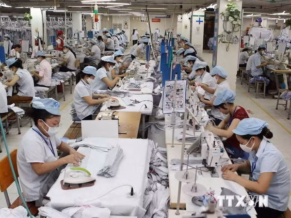越南与印度进一步促进纺织品贸易 ảnh 1