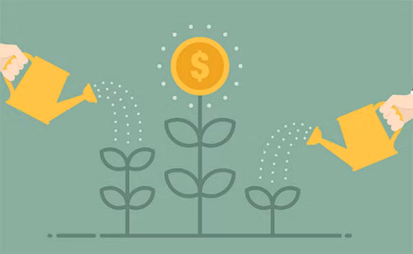 新加坡Cocoon Capital为东南亚初创企业成立总值为2000万美元的投资基金 ảnh 1 新加坡Cocoon Capital为东南亚初创企业成立总值为2000万美元的投资基金 ảnh 1