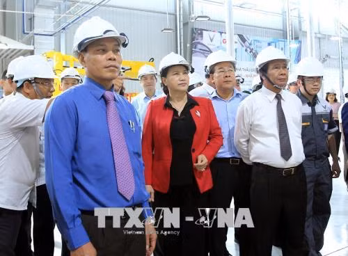 越南国会主席阮氏金银在海防市调研 ảnh 4 越南国会主席阮氏金银在海防市调研 ảnh 4