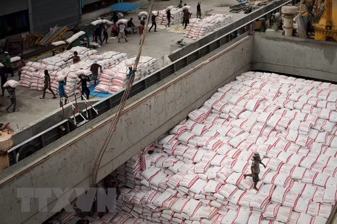 2018年上半年柬埔寨大米出口量同比下降5.9% ảnh 1 2018年上半年柬埔寨大米出口量同比下降5.9% ảnh 1