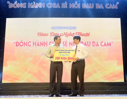 岘港市为橙剂受害者开展善款筹集活动 ảnh 1