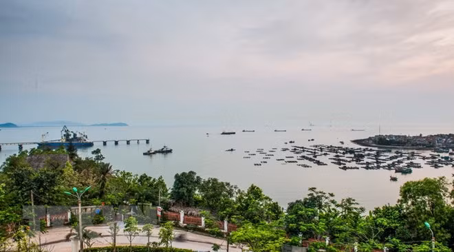 埃及媒体对越埃合作关系前景予以高度评价 ảnh 1 埃及媒体对越埃合作关系前景予以高度评价 ảnh 1