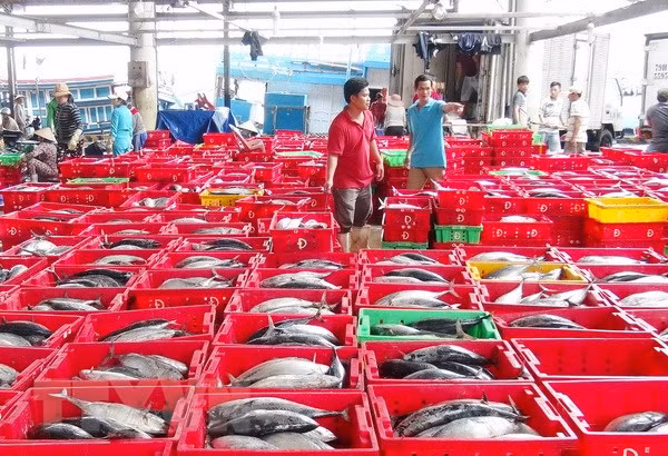 中国可成为越南最大水产品进口国 ảnh 2