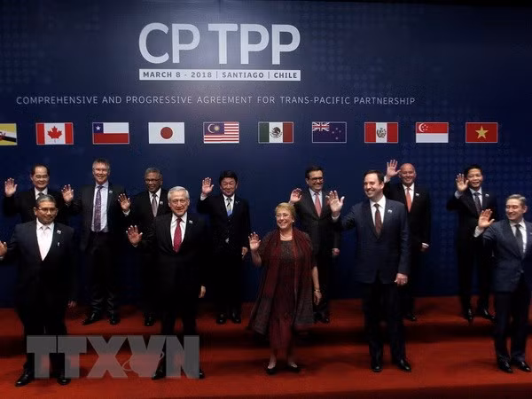 CPTPP成员国就2019年协定启动扩容谈判达成一致 ảnh 1