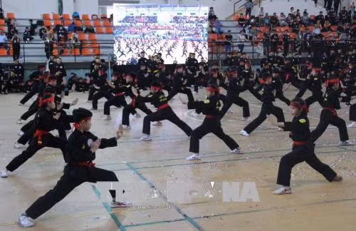 第五届胡志明市国际传统武术节吸引国内外98支武术团参加 ảnh 1
