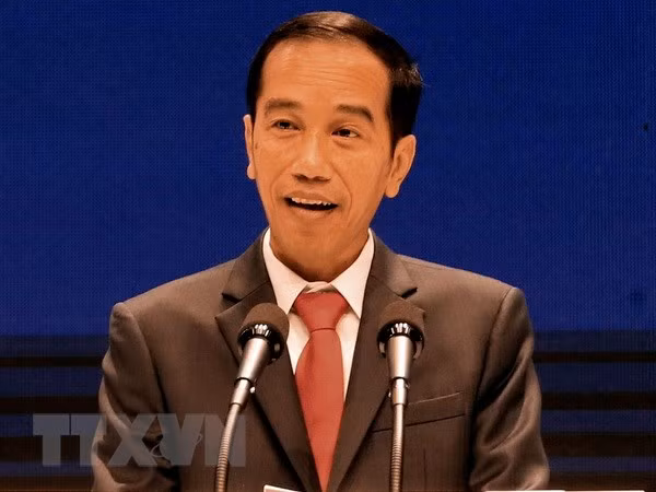 印度尼西亚将承办第35届国际妇女理事会会议 ảnh 2 印度尼西亚将承办第35届国际妇女理事会会议 ảnh 2