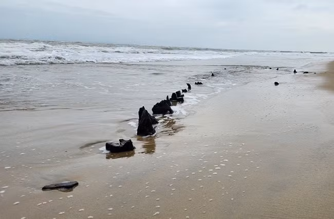 紧急发掘一艘在会安海域沉没的古代海船 ảnh 1 紧急发掘一艘在会安海域沉没的古代海船 ảnh 1