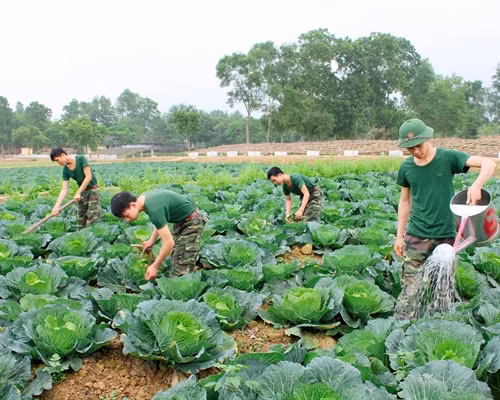 全军力争圆满完成2024年后勤任务 ảnh 1