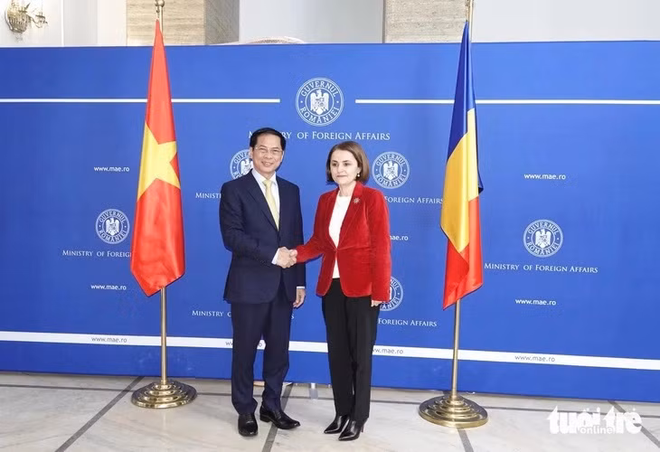 进一步加强越南与匈牙利和罗马尼亚两国之间的对外交往与合作 ảnh 1 进一步加强越南与匈牙利和罗马尼亚两国之间的对外交往与合作 ảnh 1