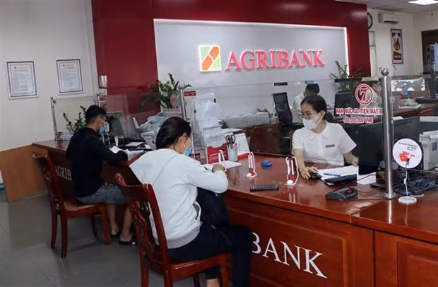 越南政府副总理黎明慨：充分发挥国家预算的利率支持计划作用 ảnh 1
