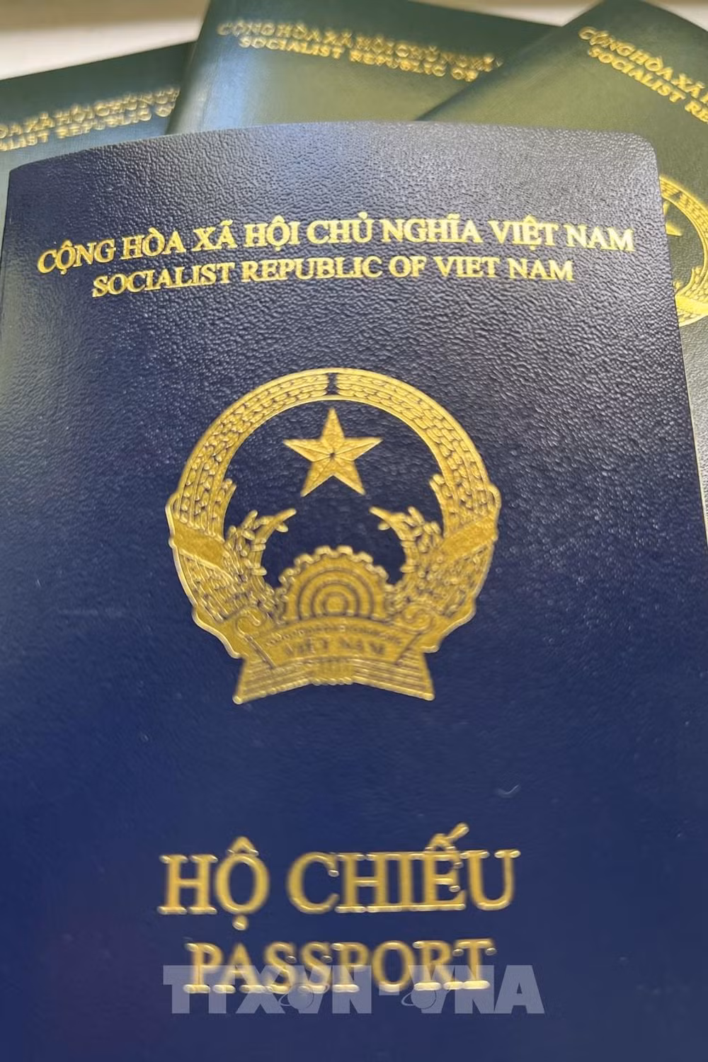 越南积极配合德国解决新护照的问题 保护公民合法权利 ảnh 2