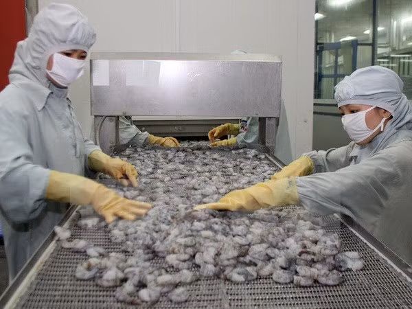 2015年越南对美国虾类出口额可能同比下降40% ảnh 1