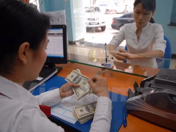 越南国家银行将越盾兑美元汇率上调1%由原来的2%扩大到3% ảnh 1 越南国家银行将越盾兑美元汇率上调1%由原来的2%扩大到3% ảnh 1