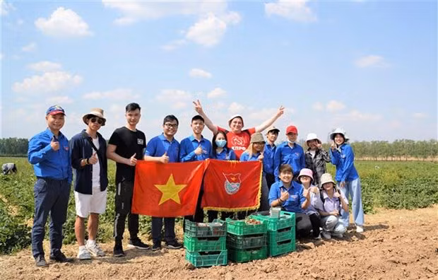 越南大学生积极参加俄罗斯莫斯科共产主义星期六义务劳动 ảnh 1